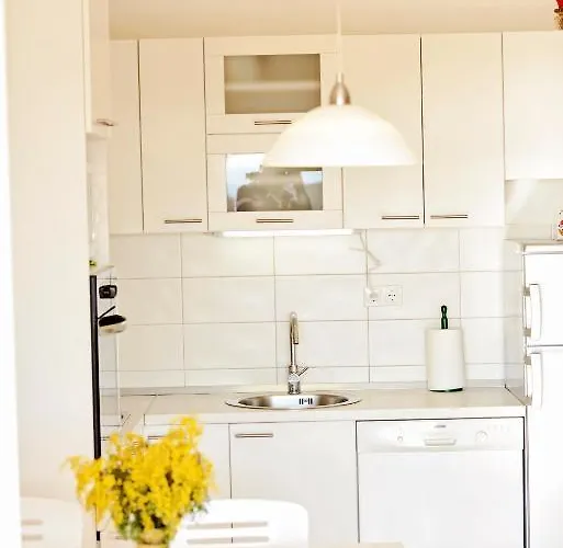 Apartmán Center Niva