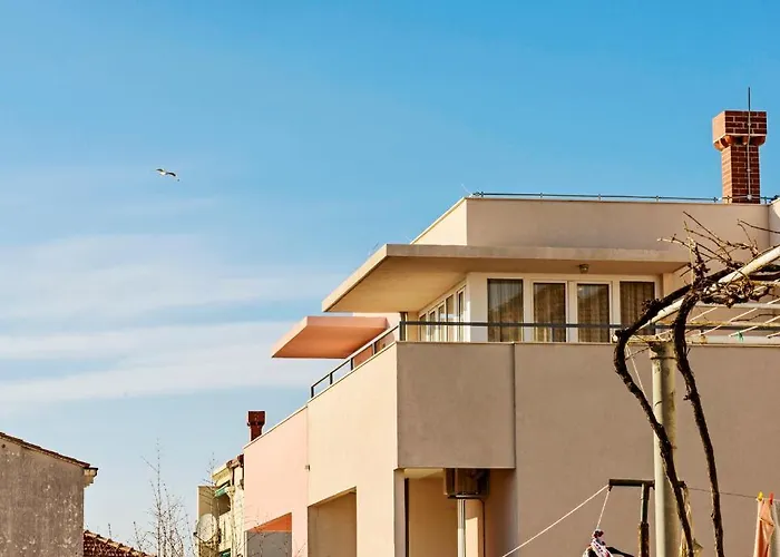 Apartmán Center Niva