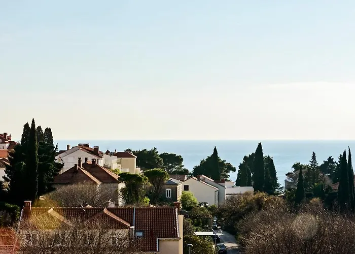 Center Niva Dubrovník